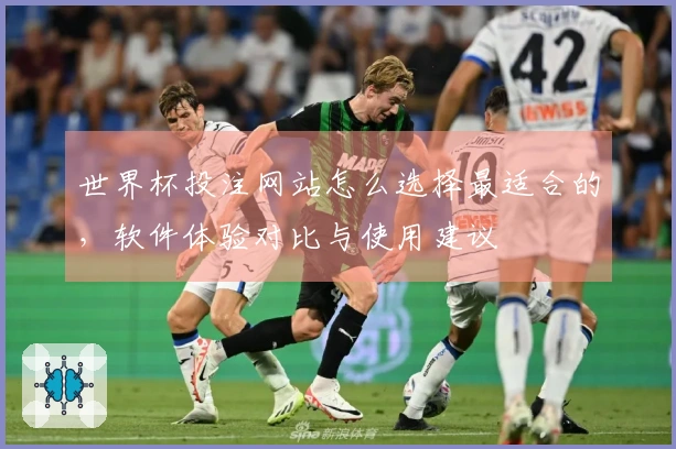 世界杯投注网站怎么选择最适合的，软件体验对比与使用建议