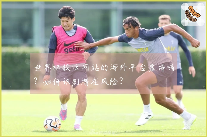 世界杯投注网站的海外平台靠谱吗？如何识别潜在风险？