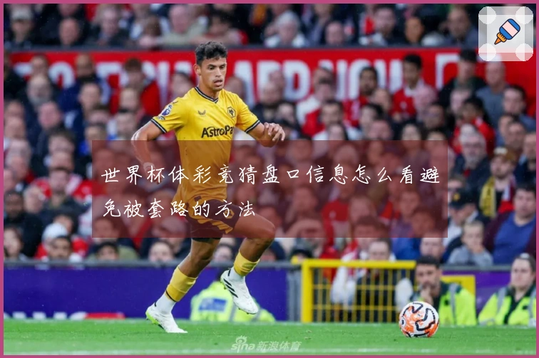 世界杯体彩竞猜盘口信息怎么看避免被套路的方法