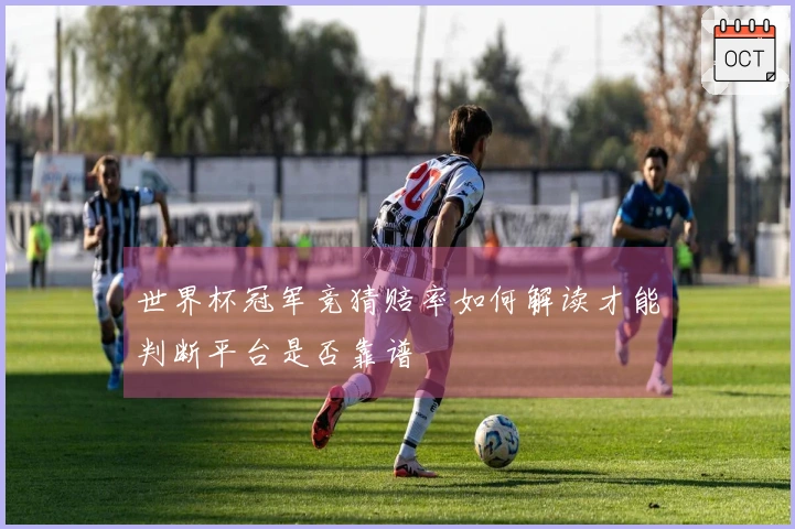 世界杯冠军竞猜赔率如何解读才能判断平台是否靠谱