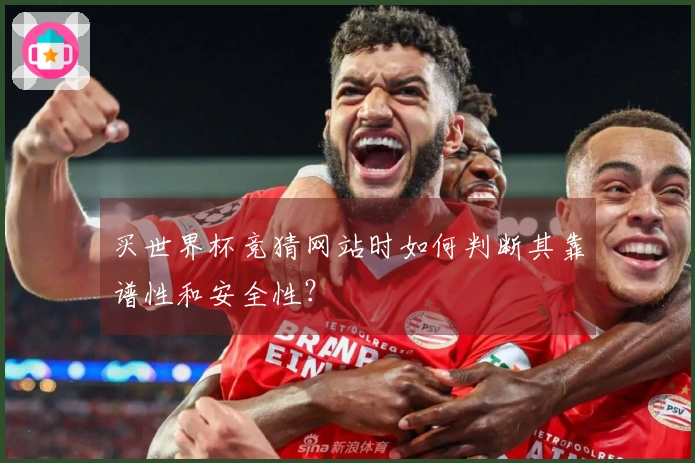 买世界杯竞猜网站时如何判断其靠谱性和安全性？