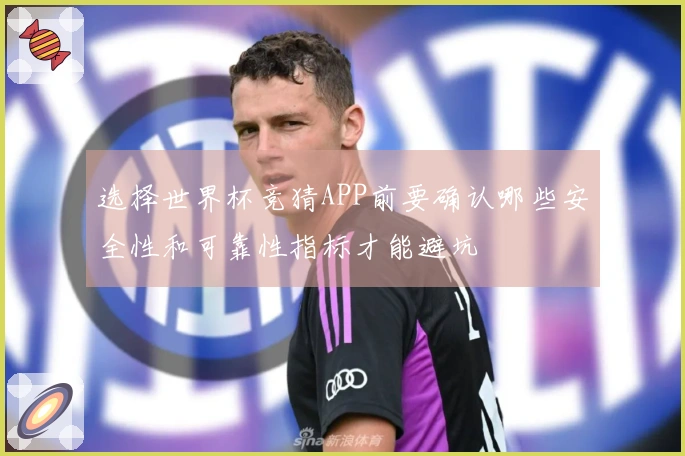 选择世界杯竞猜APP前要确认哪些安全性和可靠性指标才能避坑