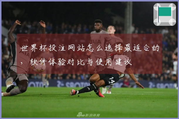 世界杯投注网站怎么选择最适合的，软件体验对比与使用建议
