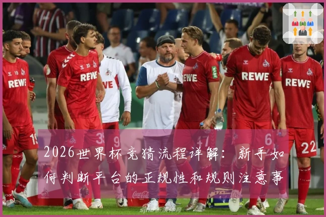 2026世界杯竞猜流程详解：新手如何判断平台的正规性和规则注意事项