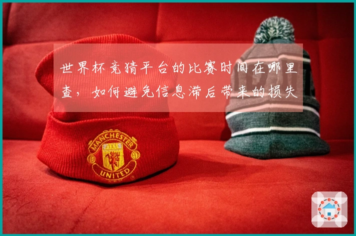 世界杯竞猜平台的比赛时间在哪里查，如何避免信息滞后带来的损失？