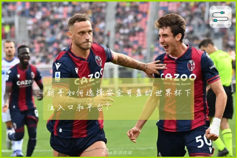新手如何选择安全可靠的世界杯下注入口和平台?