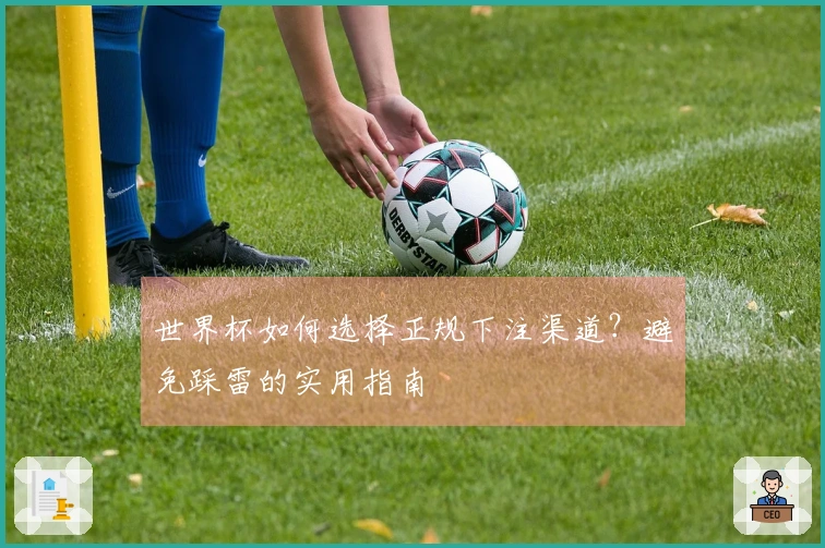 世界杯如何选择正规下注渠道?避免踩雷的实用指南