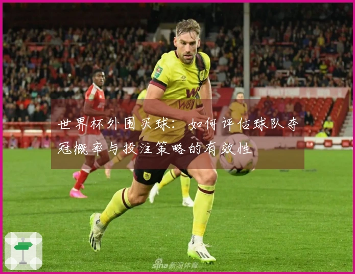 世界杯外围买球:如何评估球队夺冠概率与投注策略的有效性