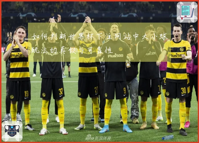 如何判断世界杯下注网站中大小球玩法的真假与可靠性