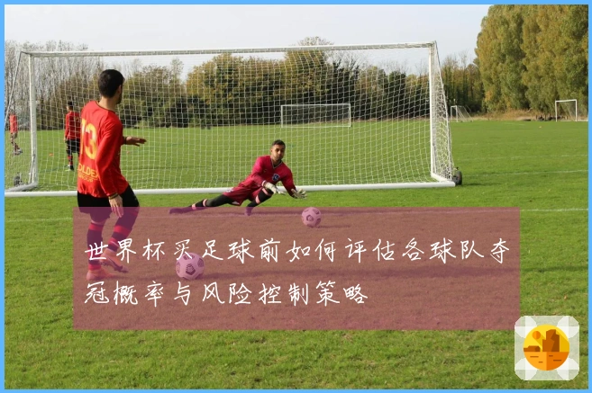 世界杯买足球前如何评估各球队夺冠概率与风险控制策略