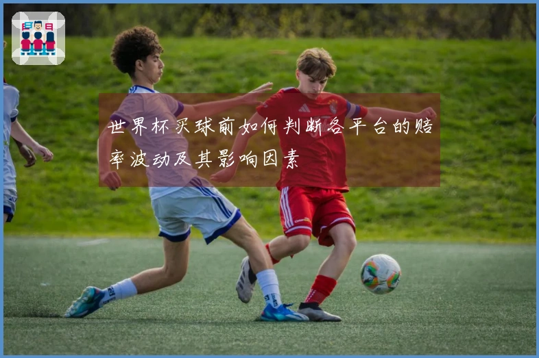 世界杯买球前如何判断各平台的赔率波动及其影响因素