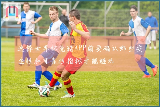 选择世界杯竞猜APP前要确认哪些安全性和可靠性指标才能避坑