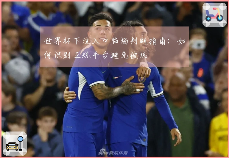 世界杯下注入口临场判断指南:如何识别正规平台避免被坑