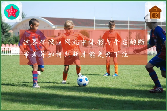 世界杯投注网站中体彩与平台的赔率差异如何判断才能更好下注