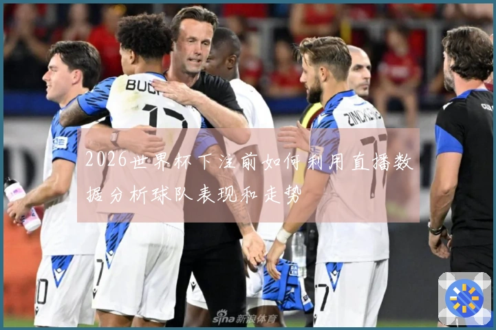 2026世界杯下注前如何利用直播数据分析球队表现和走势