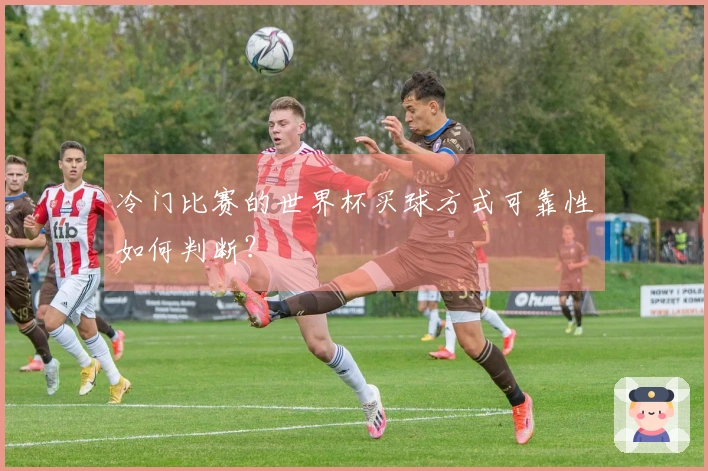 冷门比赛的世界杯买球方式可靠性如何判断？