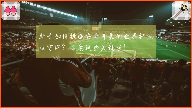 新手如何挑选安全可靠的世界杯投注官网？注意这些关键点！