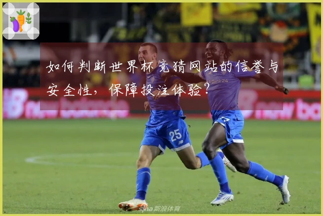 如何判断世界杯竞猜网站的信誉与安全性，保障投注体验？