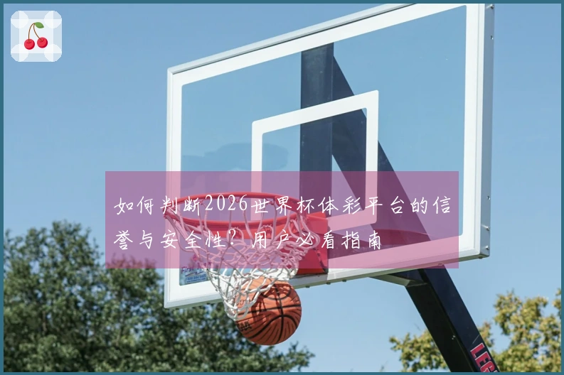 如何判断2026世界杯体彩平台的信誉与安全性？用户必看指南