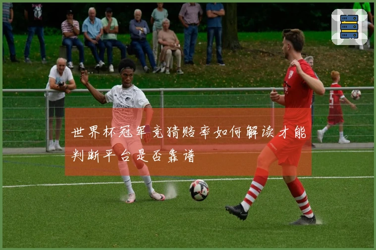 世界杯冠军竞猜赔率如何解读才能判断平台是否靠谱