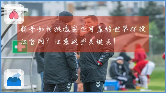 新手如何挑选安全可靠的世界杯投注官网？注意这些关键点！