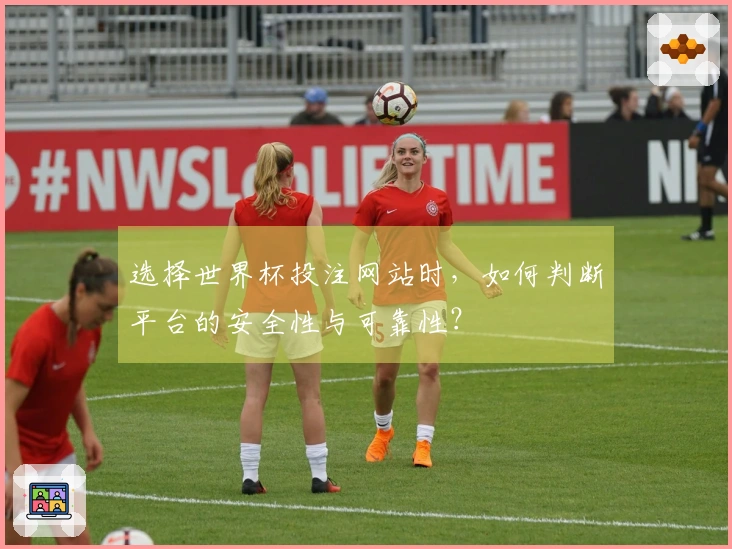 选择世界杯投注网站时，如何判断平台的安全性与可靠性？