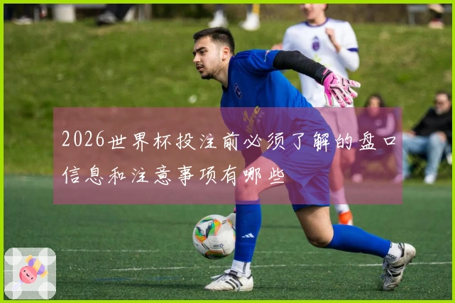2026世界杯投注前必须了解的盘口信息和注意事项有哪些