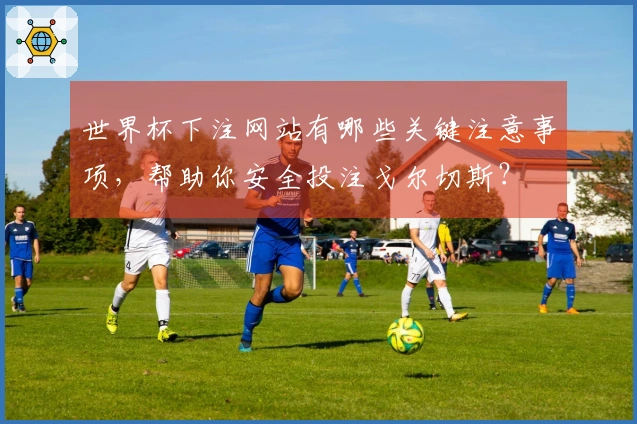 世界杯下注网站有哪些关键注意事项,帮助你安全投注戈尔切斯?