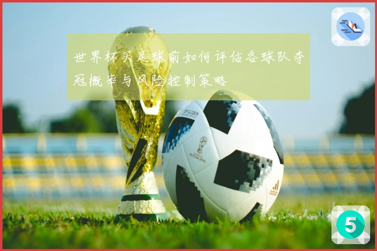 世界杯买足球前如何评估各球队夺冠概率与风险控制策略