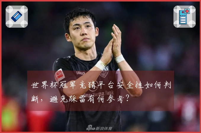 世界杯冠军竞猜平台安全性如何判断,避免踩雷有何参考?