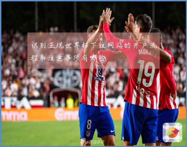 识别正规世界杯下注网站的开户流程和注意事项有哪些