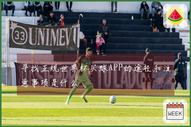 寻找正规世界杯买球APP的途径和注意事项是什么