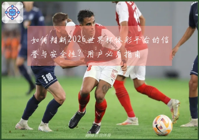 如何判断2026世界杯体彩平台的信誉与安全性？用户必看指南