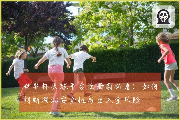 世界杯买球平台注册前必看：如何判断网站安全性与出入金风险