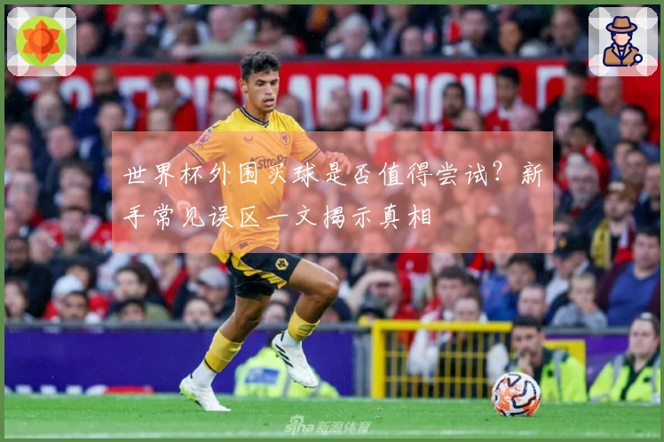 世界杯外围买球是否值得尝试？新手常见误区一文揭示真相