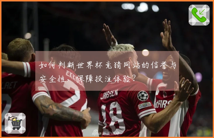 如何判断世界杯竞猜网站的信誉与安全性,保障投注体验?
